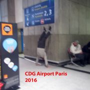 2016 France CDG
